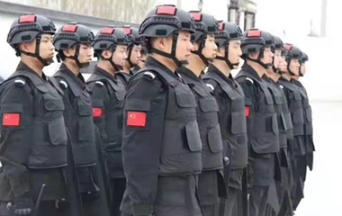 特种安保